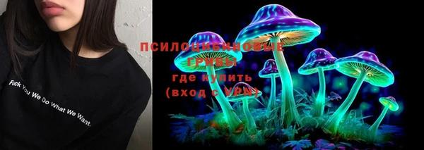 винт Белокуриха