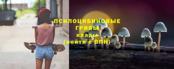 ПСИЛОЦИБИНОВЫЕ ГРИБЫ Протвино