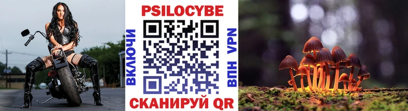 даркнет сайт Шенкурск Галлюциногенные грибы Magic Shrooms
