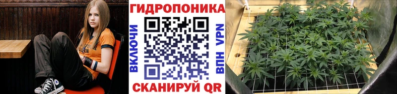 Бошки Шишки SATIVA & INDICA  Шенкурск 